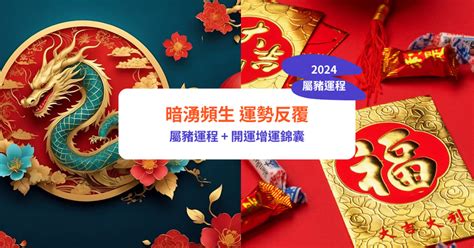 豬 2024|【屬豬2024生肖運勢】暗湧頻生，運勢反覆｜屬豬運 